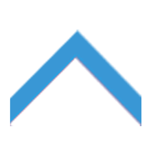 SHINE TOP MFG LTD.